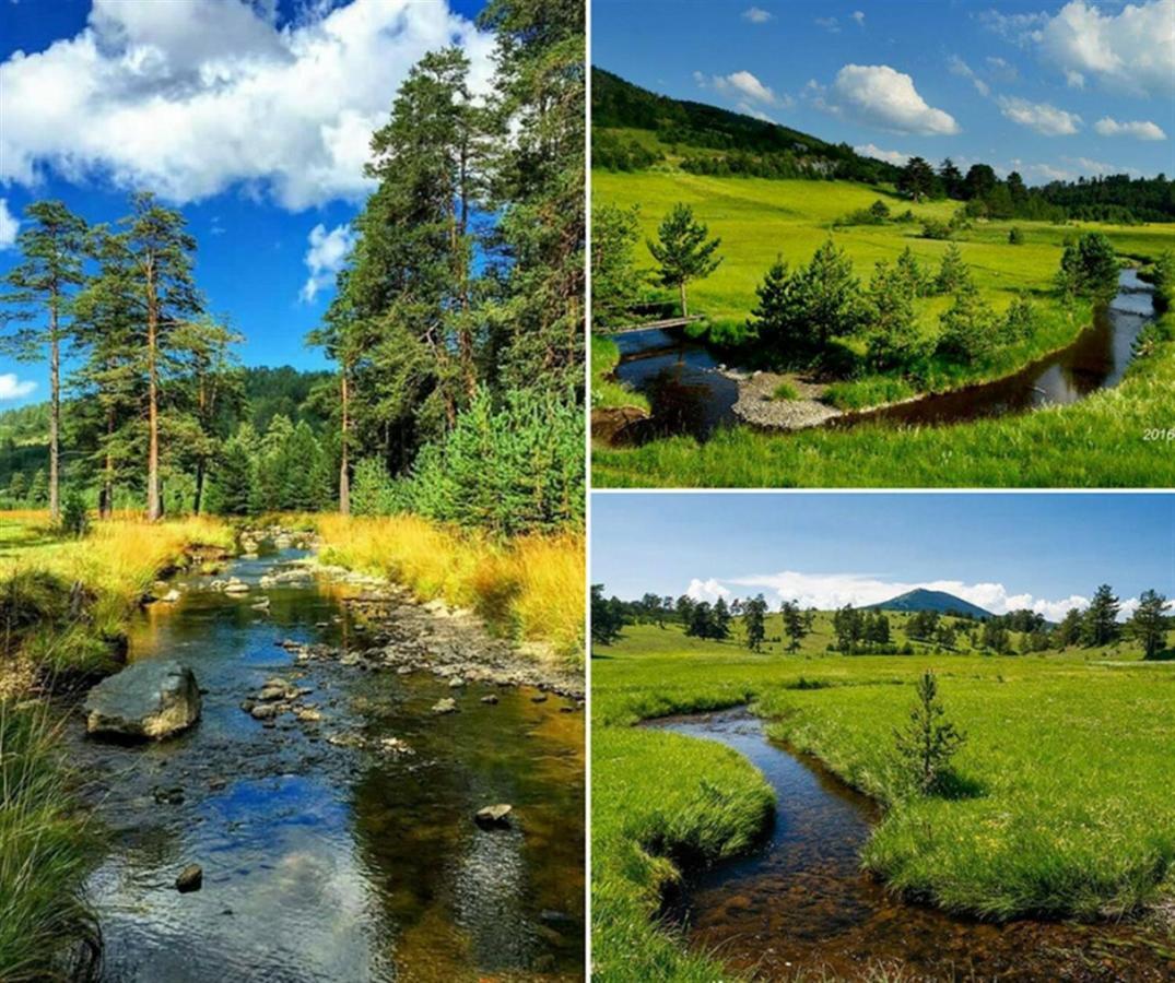 Centar! Lara Zlatibor Apartment Екстериор снимка